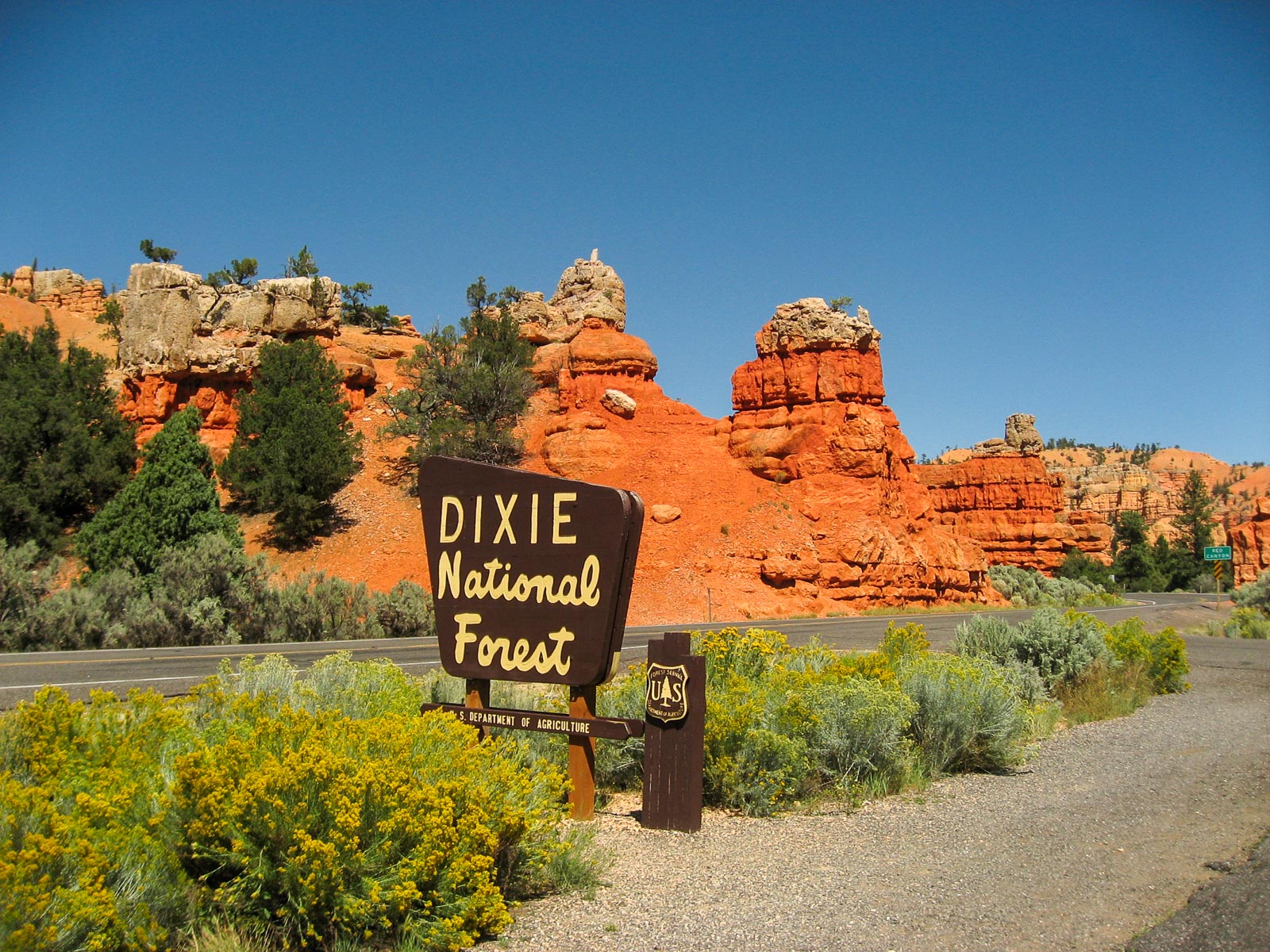 13 USA 2008 fabien et leslie 1555